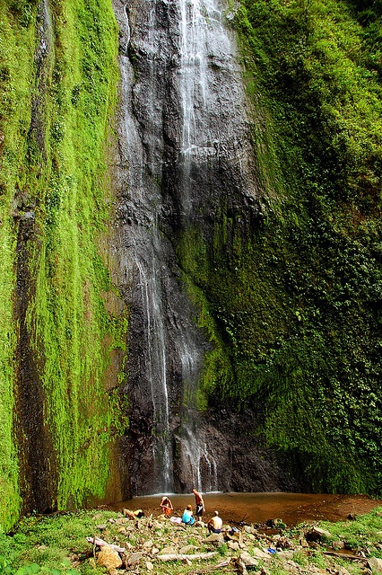 in the photo: Isla de Ometepe in Nicaragua