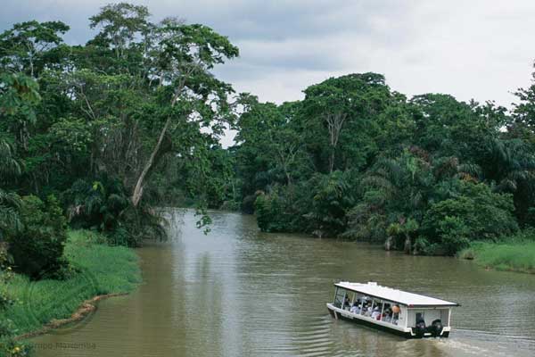 in the photo: River cruise in Tortuguero in Costa Rica