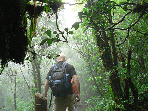 In the photo: forests in Nicaragua