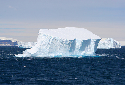 In the photo: icebergs in Antarctica