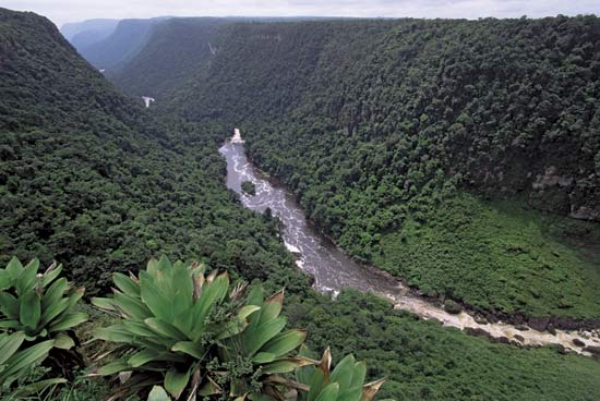 In the photo: ecotourism in Guyana