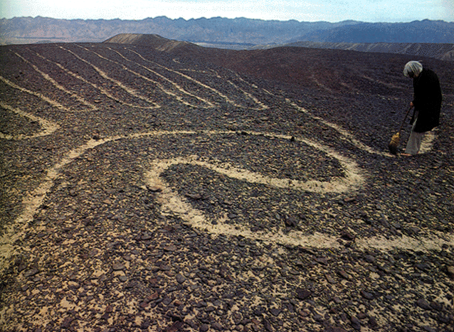 In the photo: the lines of the Nazca Desert in Peru