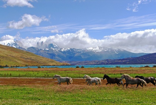 in the photo: Torres del Paine  National Park in Chile