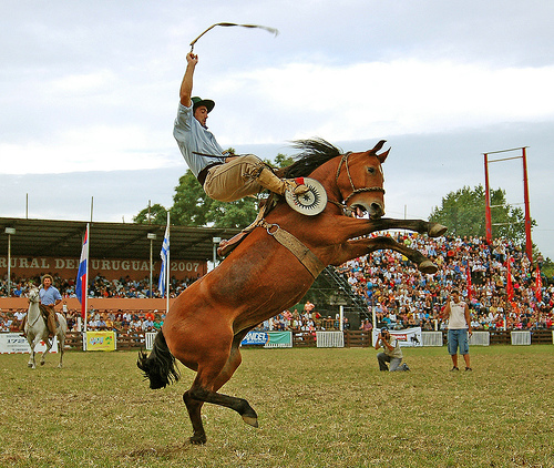 in the photo: a ranch in Uruguay