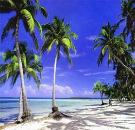 in photo: the island of Ambergris Caye, Belize