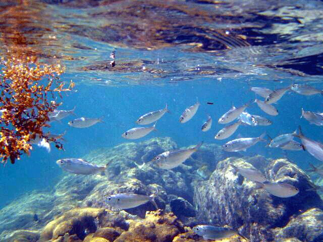 in photo: Paraty city in Brazil 