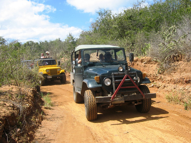in the photo: Canaima National Park and Angel Falls