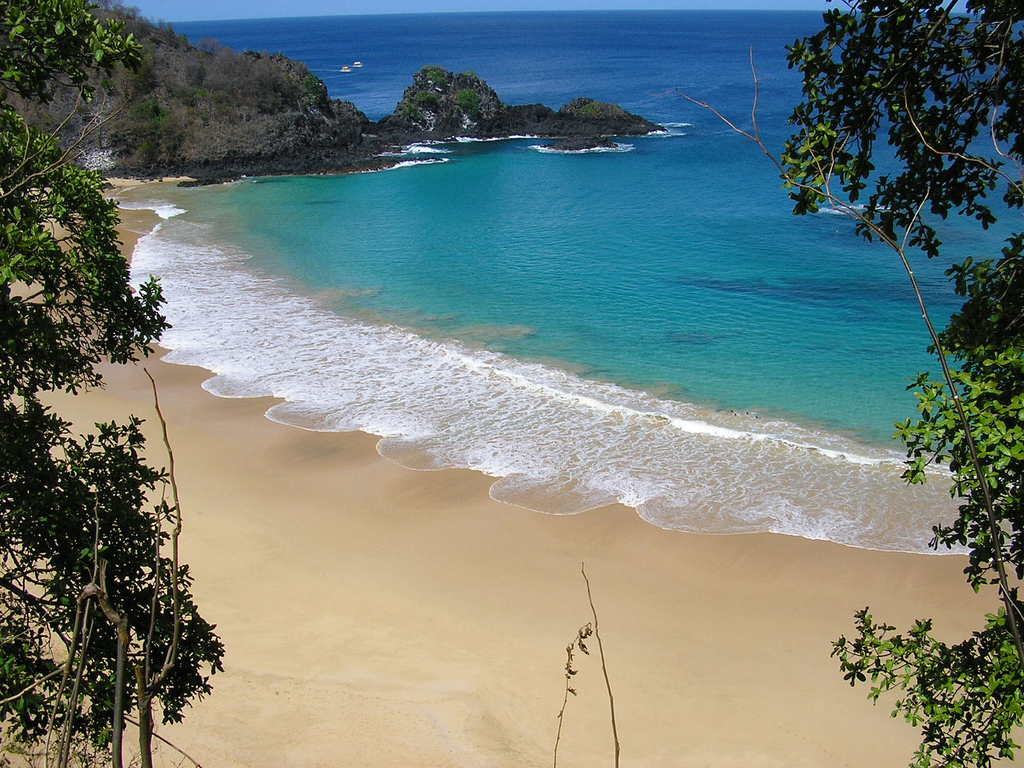 in photo: Sea resort of Praia do Forte in Brazil 