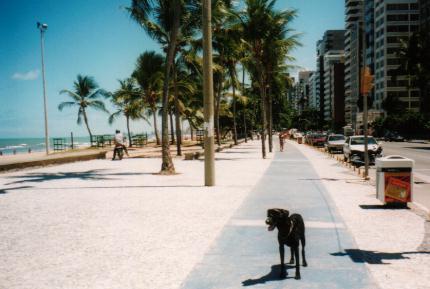 in photo: Olinda, Brazil 