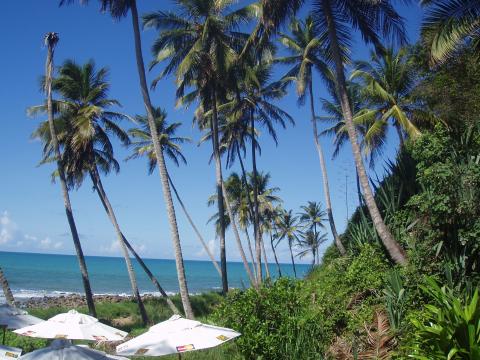 in photo:  Sea resort of Natal in Brazil 