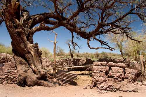 in the photo: San Pedro de Atacama Desert in Chile