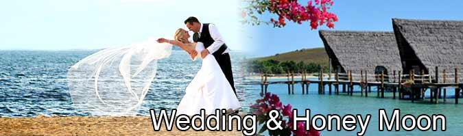 Weddings and Honeymoons