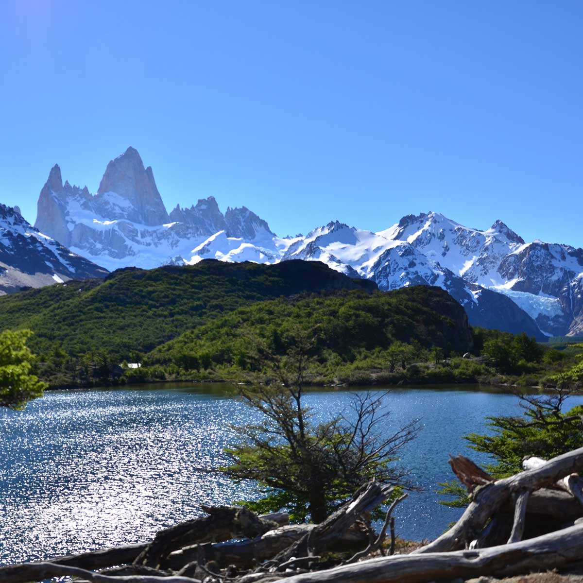 in photo: El Chalten Santa Cruz Argentina, in Los Glaciares National Park at Torre and Fitzroy Peaks,