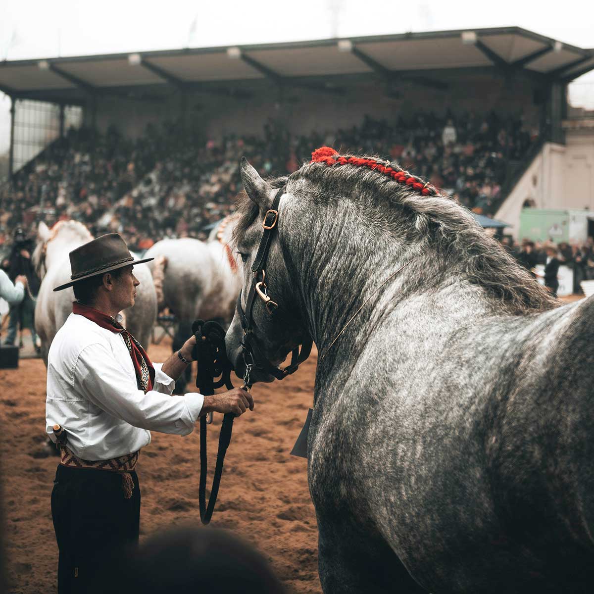 Gaucho party Argentina - ranch tour