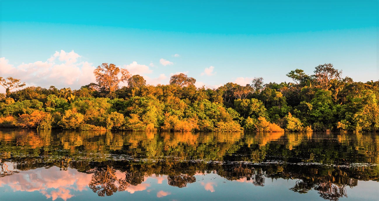 Brazil & Argentina with Amazon and Waterfalls -4227