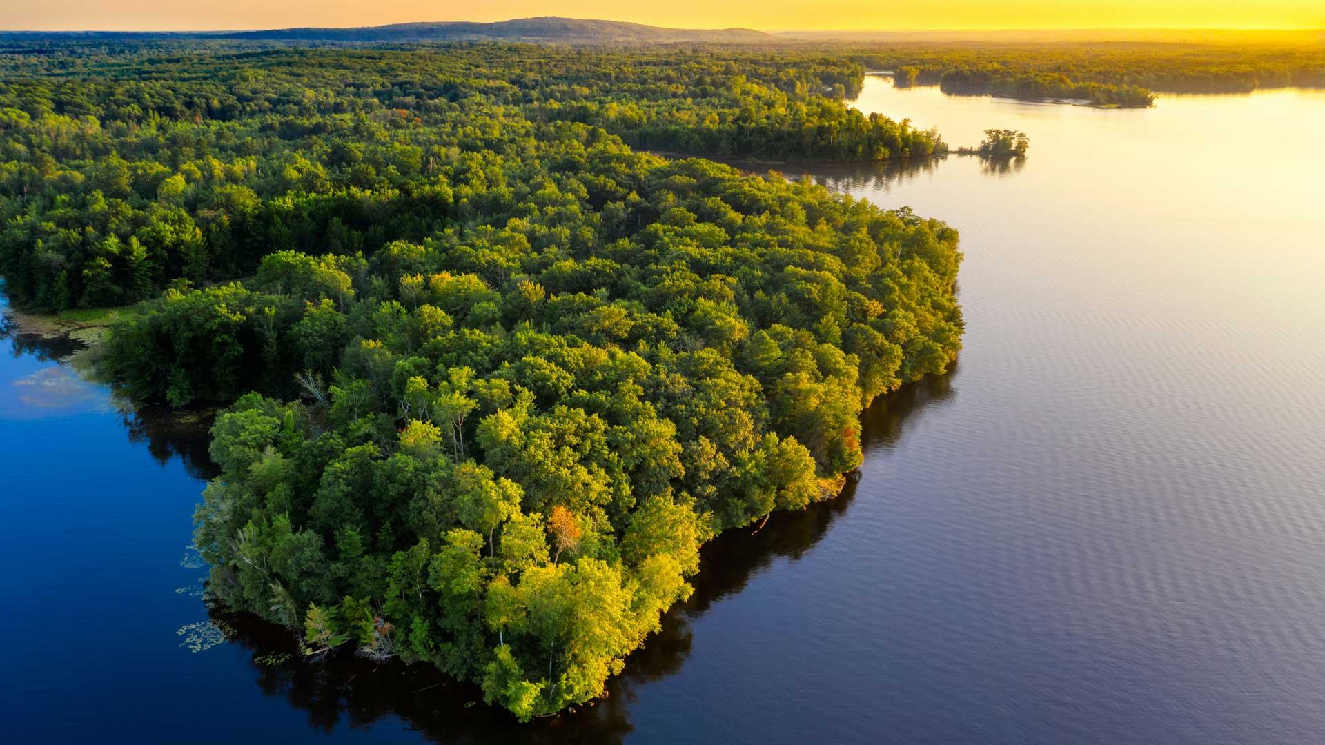 seaplane flight over amazon rainforest