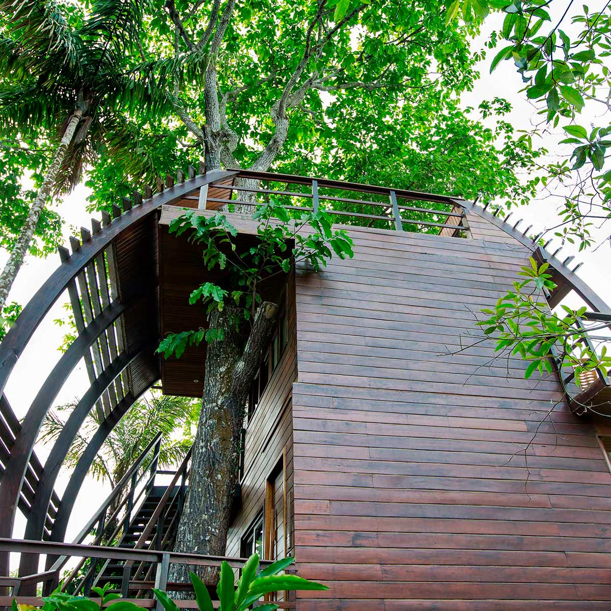 Mirante do Gavião Amazon lodge Brazil