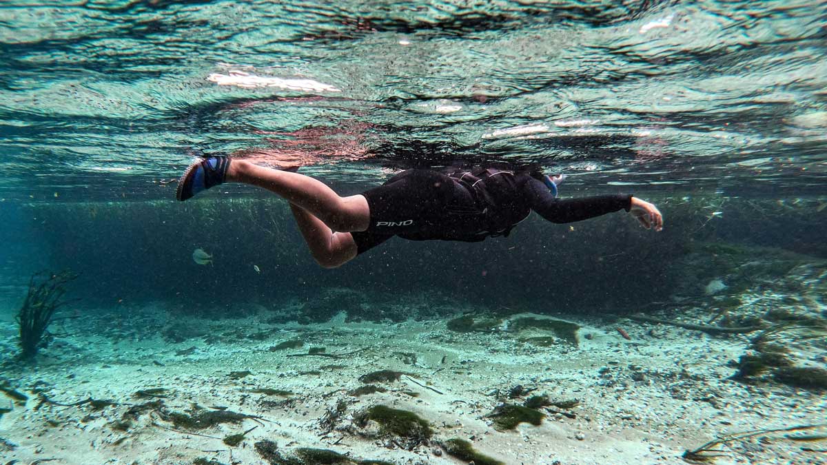 Snorkeling Rio Sucuri, Bonito Brazil