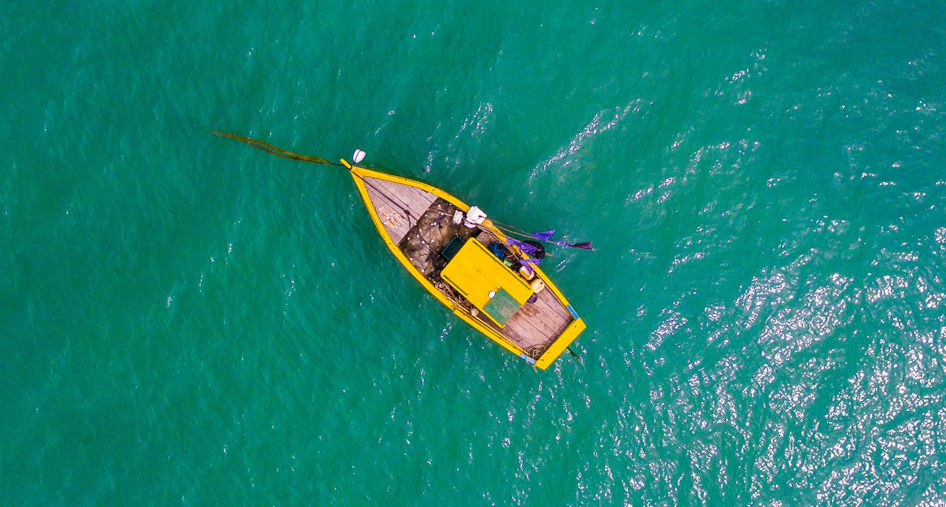 Diving and snorkeling in Porto de Galinhas, Brazil – underwater world, reefs and tropical fish, diving tour in Brazil