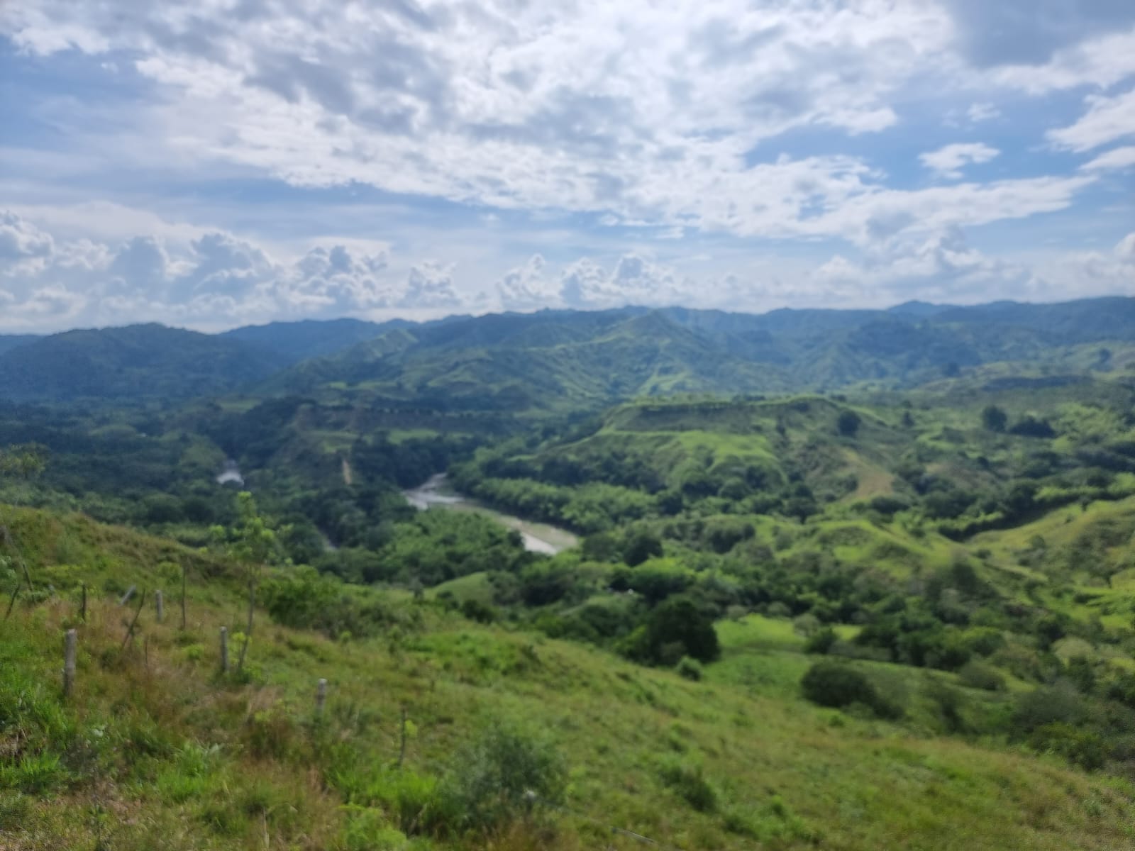 Metropolitan Colombia -4161