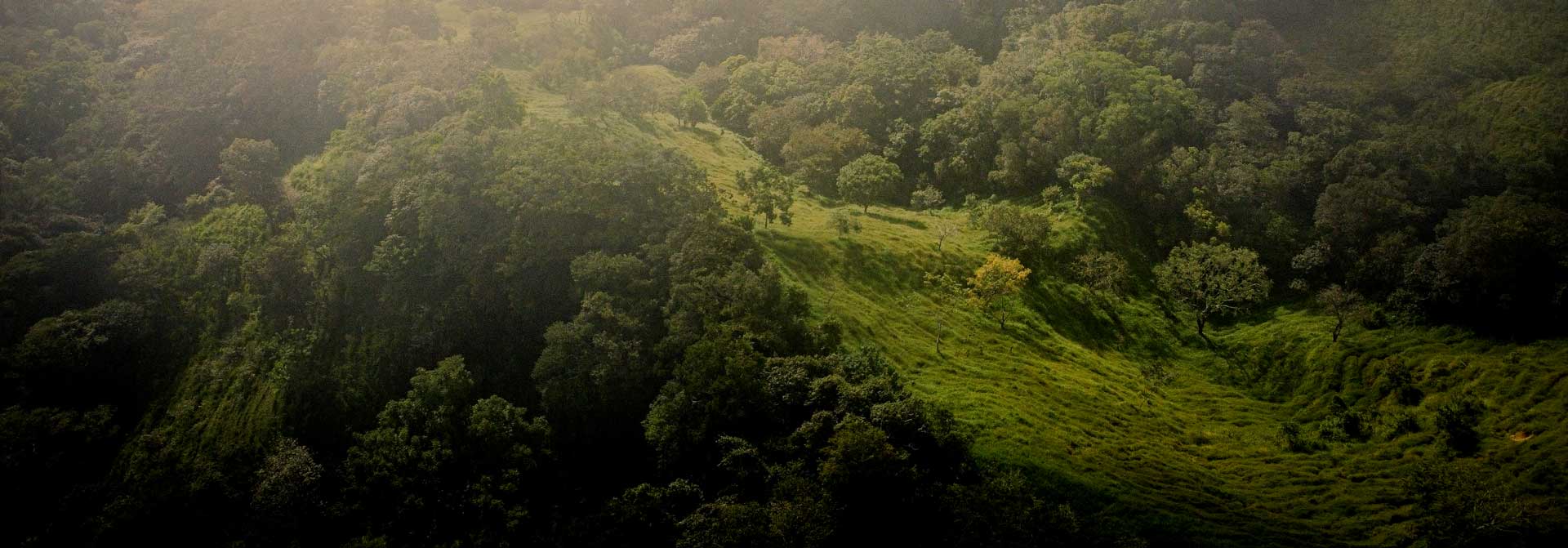 Monteverde & Santa Elena