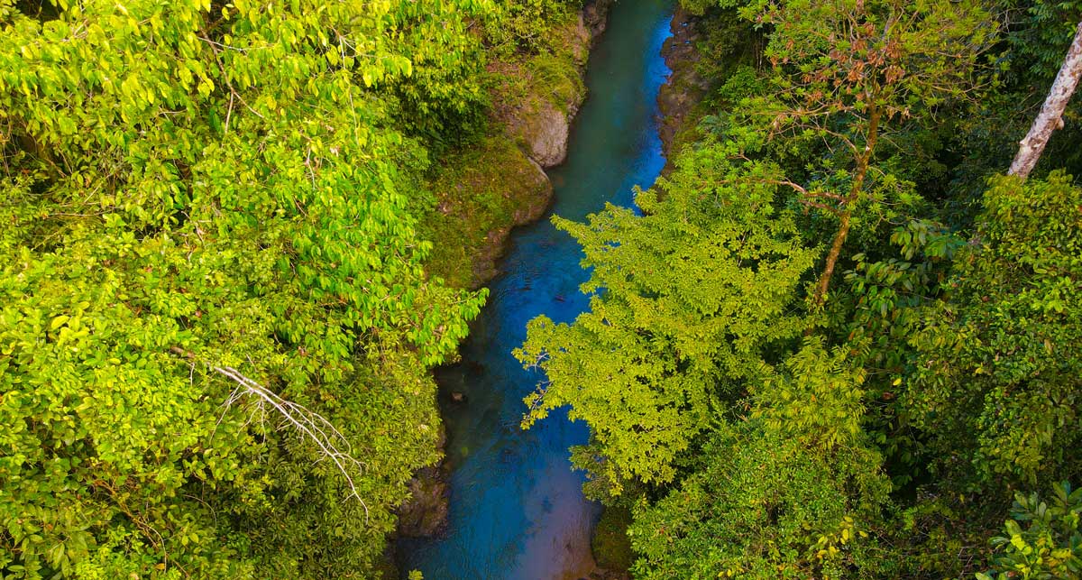 Caño Negro jungle boat tour – wildlife watching in Costa Rica