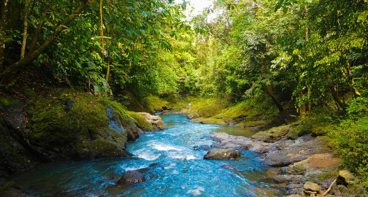 Corcovado National Park, rainforest hiking trail