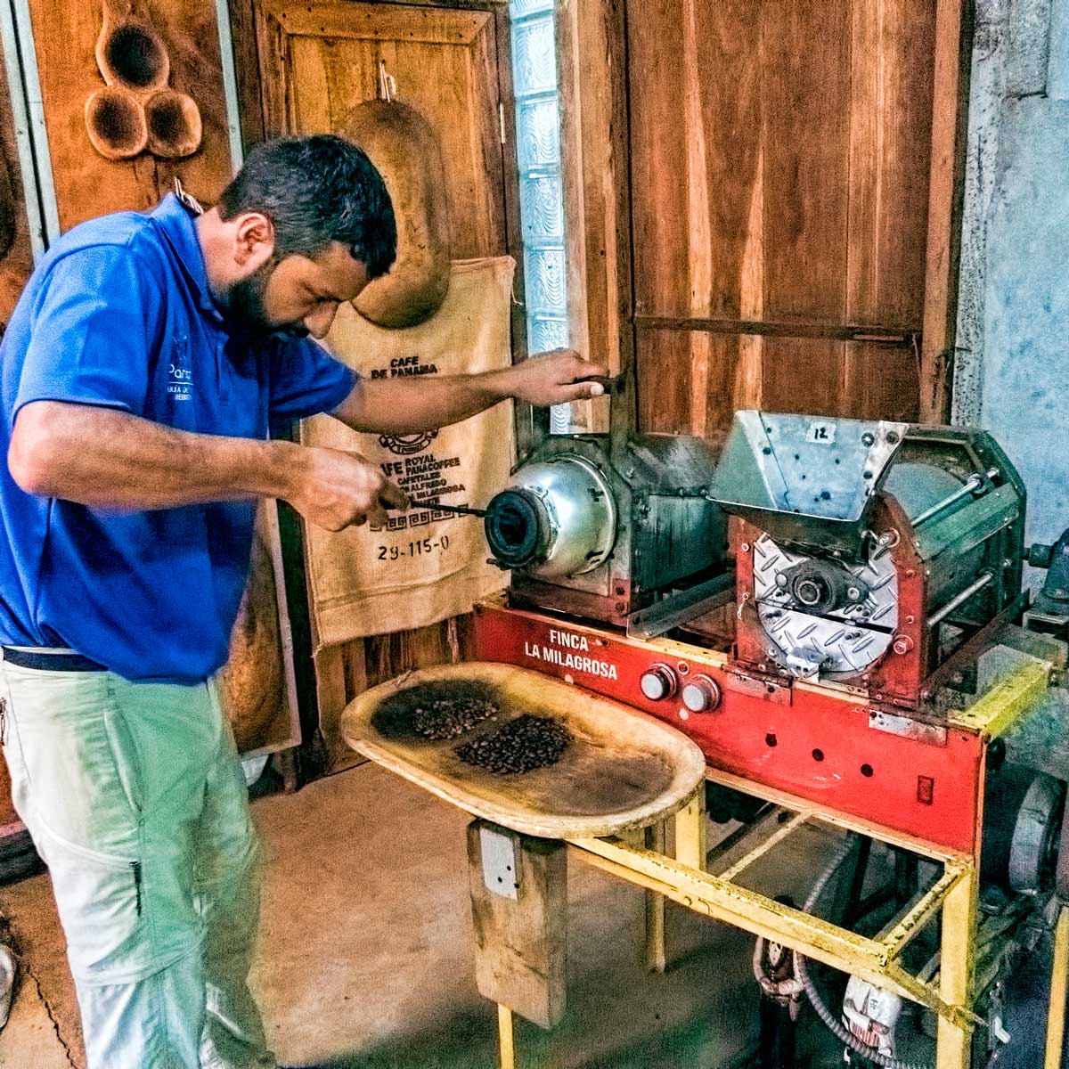 Costa Rica coffee plantation tour – from bean to cup