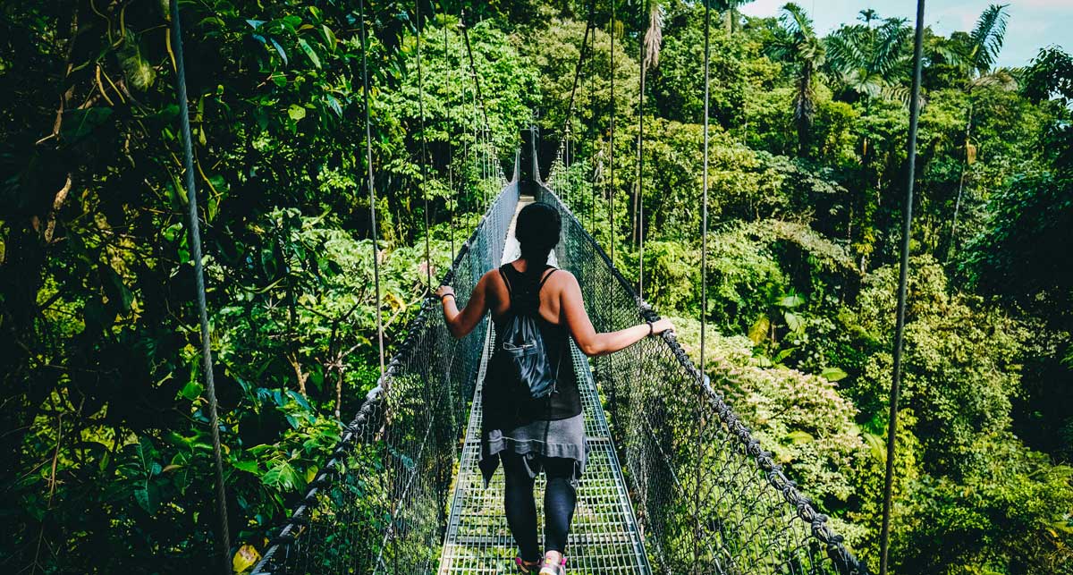 Monteverde cloud forest, Costa Rica