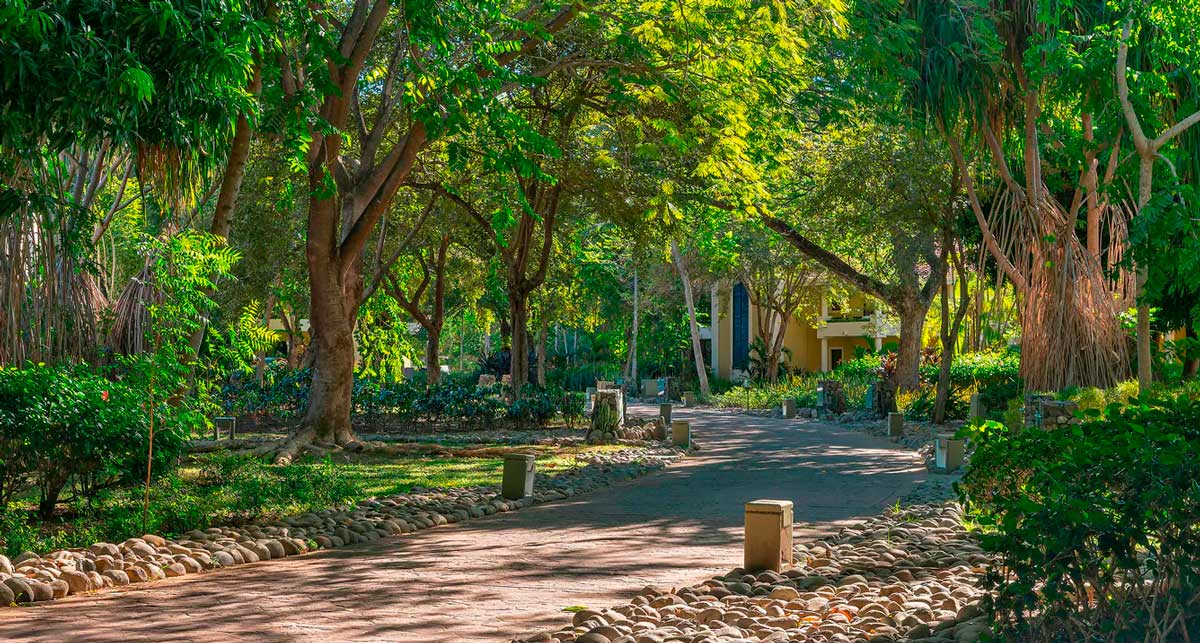 Westin Reserva Conchal resort grounds, Costa Rica