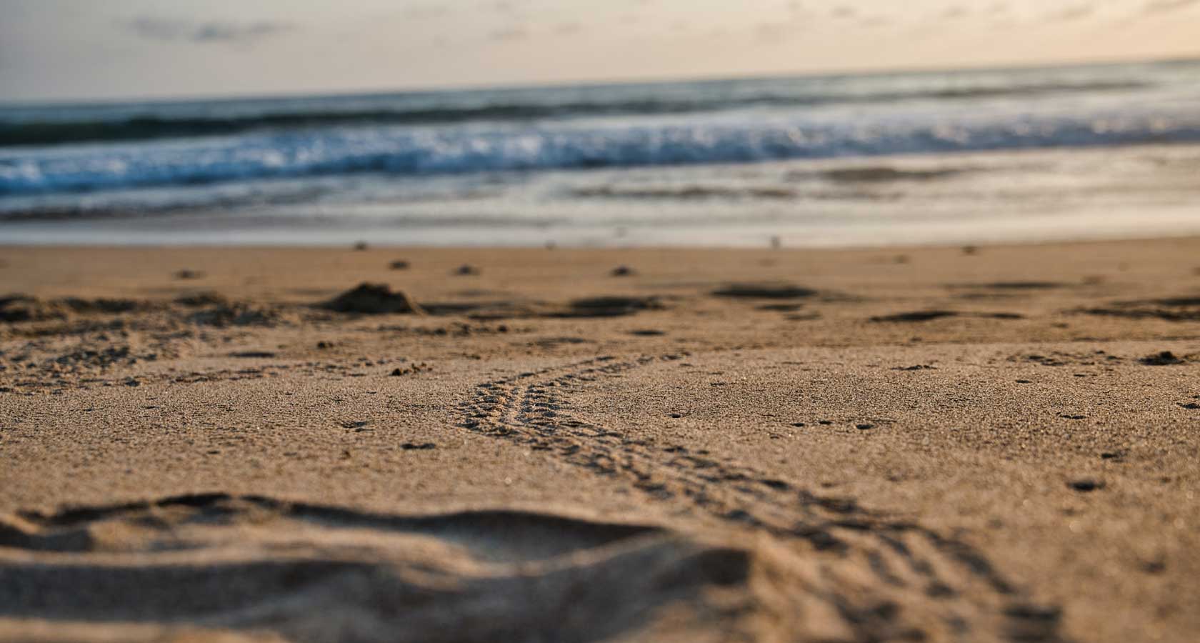 Tortuguero beach on Caribbean coast, Costa Rica