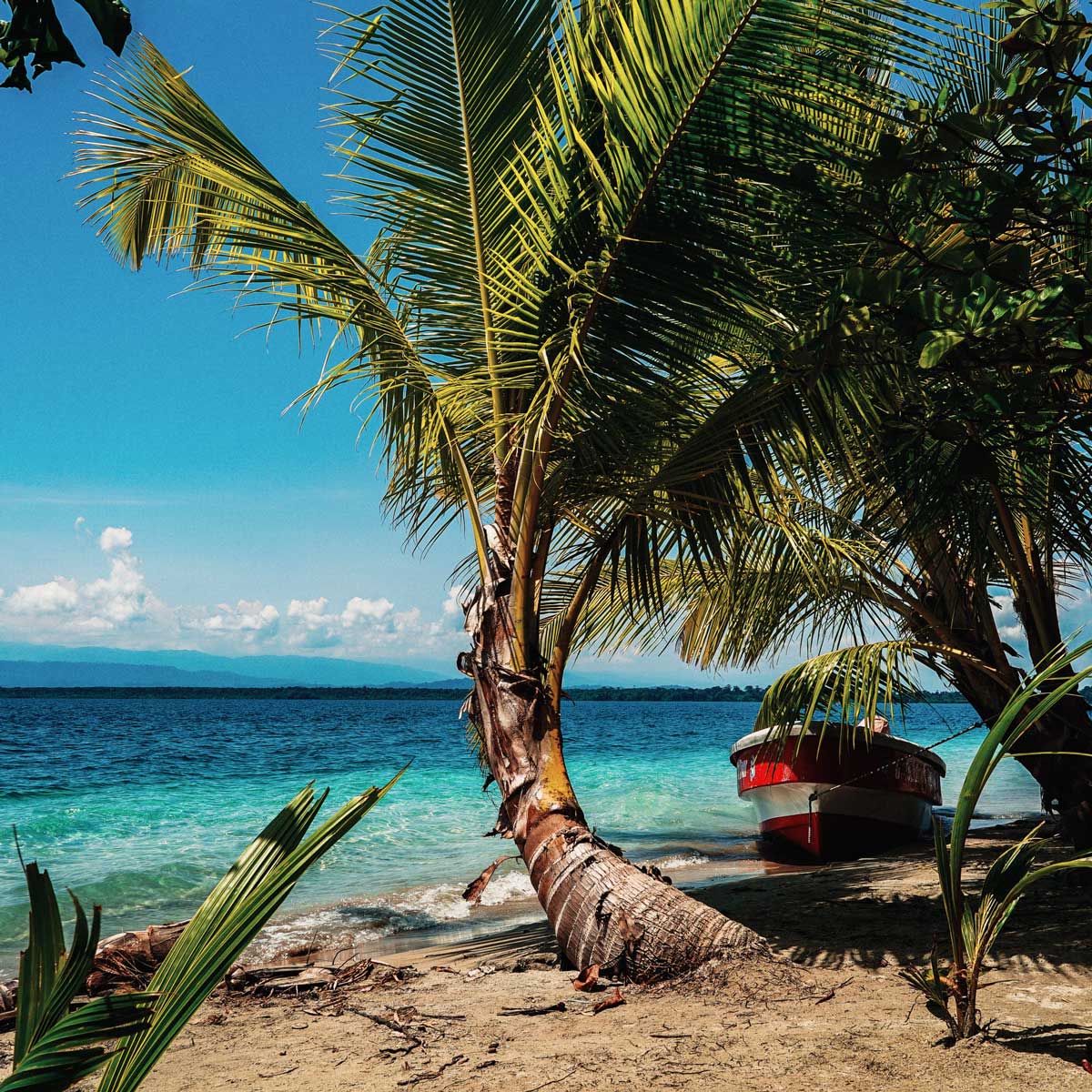 Bocas del Toro, Panama - Caribbean paradise, palm beach