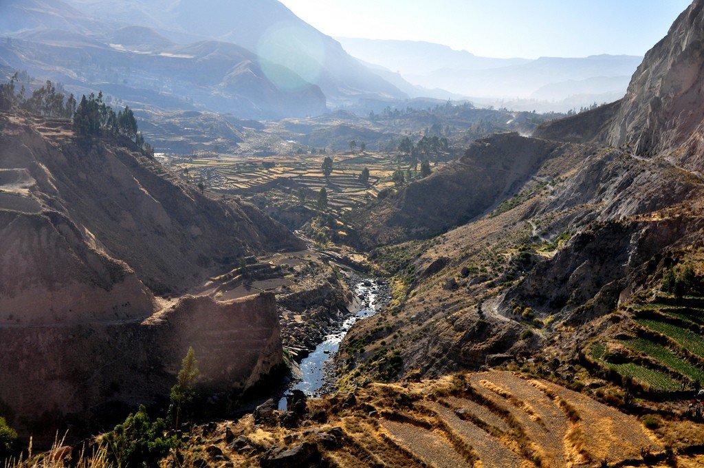 in the photo: Colca canyon, Peru