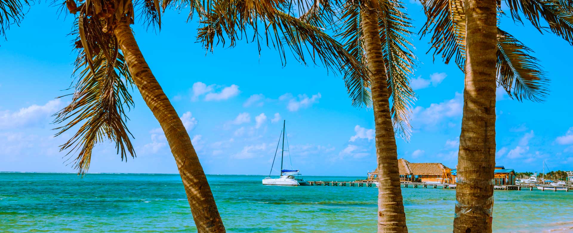 In the photo: beach tours to Brazil and the Caribbean