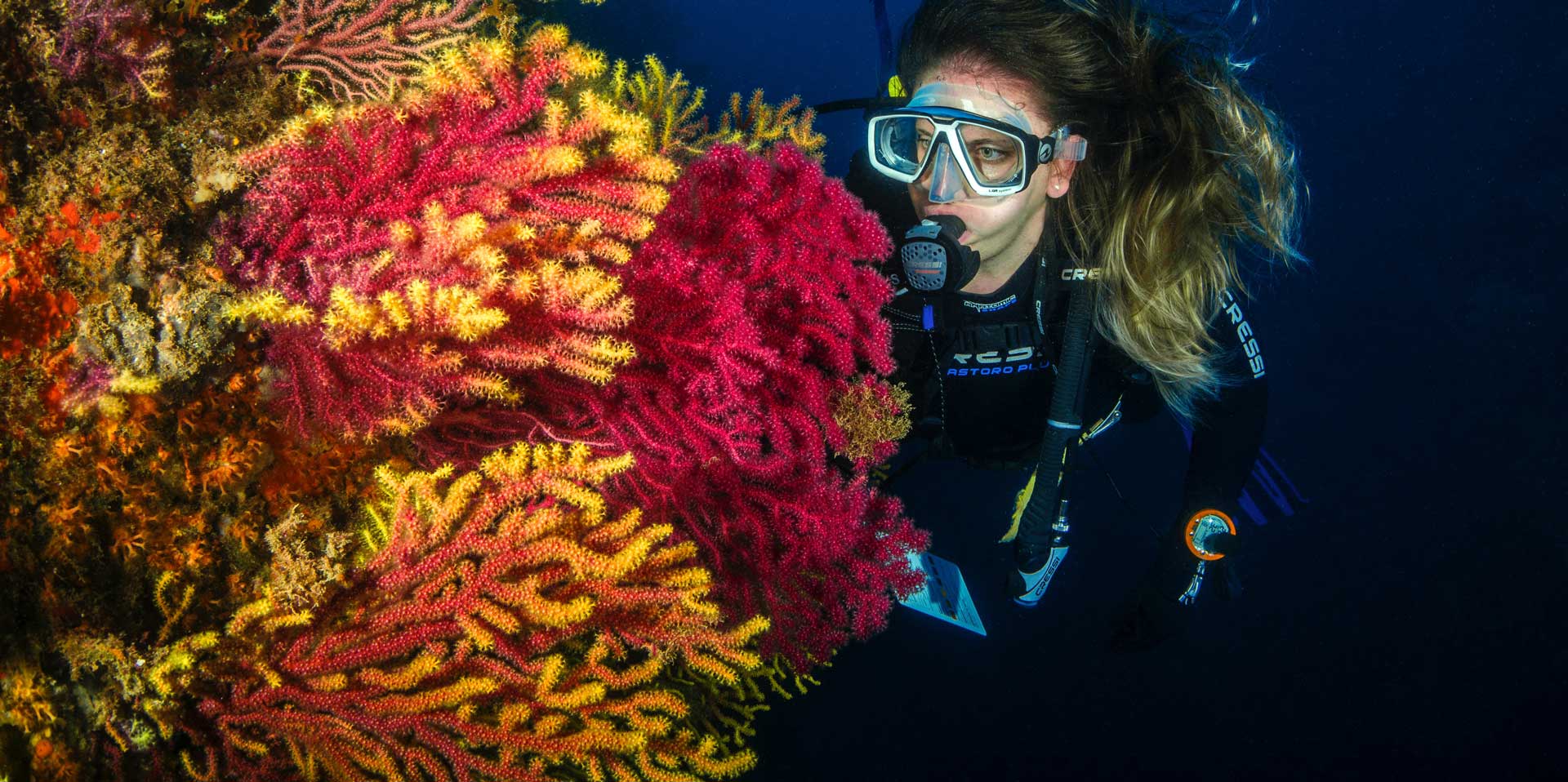 In the photo: scuba diving tours in Latin America