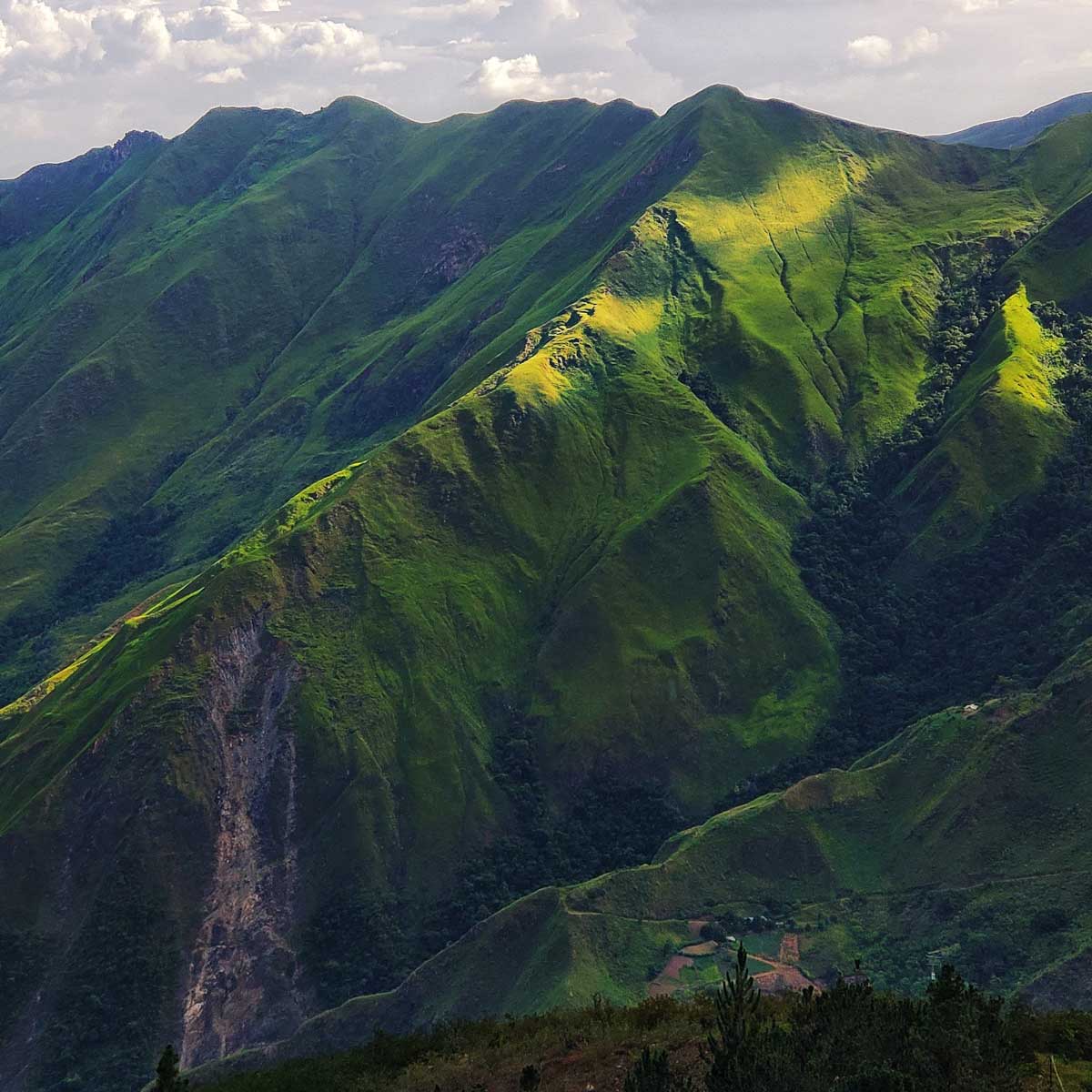 In the photo: The Colony of Tovar  in Venezuela