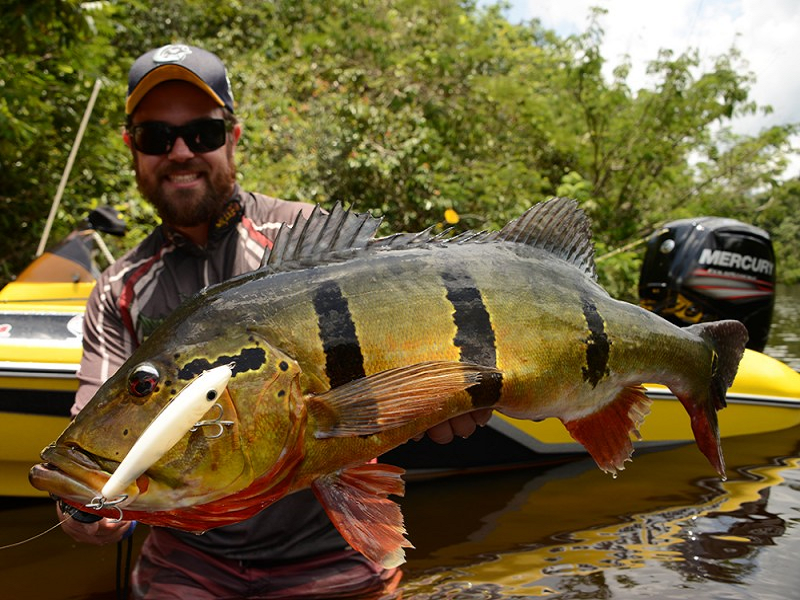 Fishing in Rio de Janeiro -2676