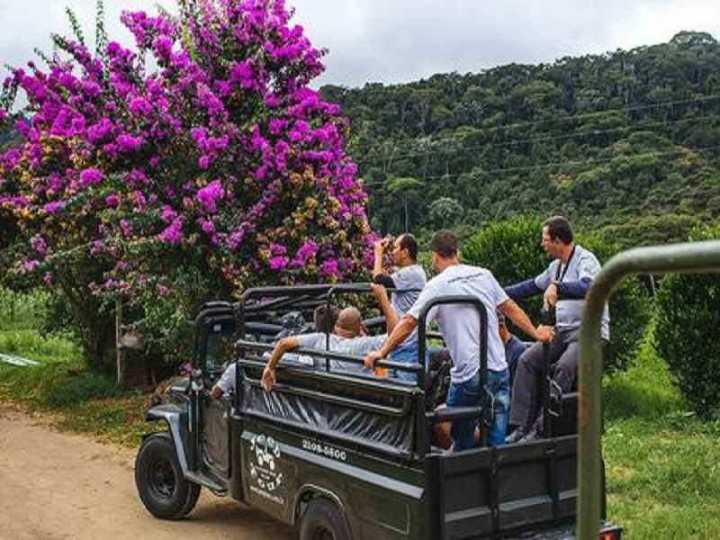 Jeep Tour – Petropolis Brejal -4164