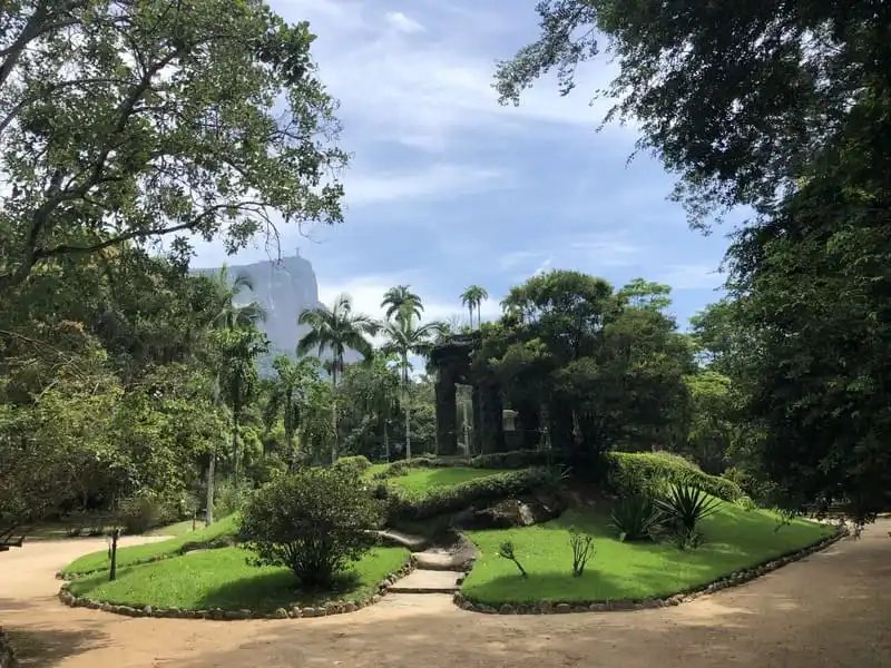 A shaded, level path through the Rio de Janeiro Botanical Garden, with the hillside visible beyond the trees.