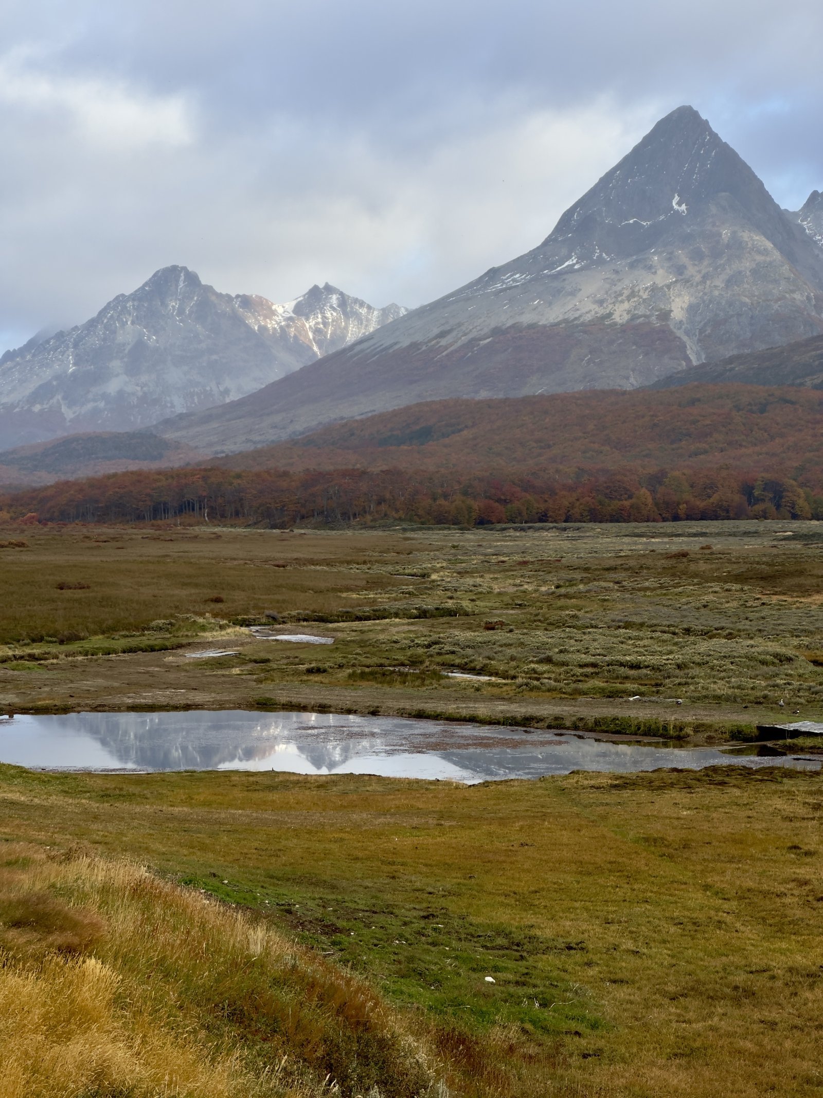 A wide valley with glacial mountains and autumn forest in Argentine Patagonia.