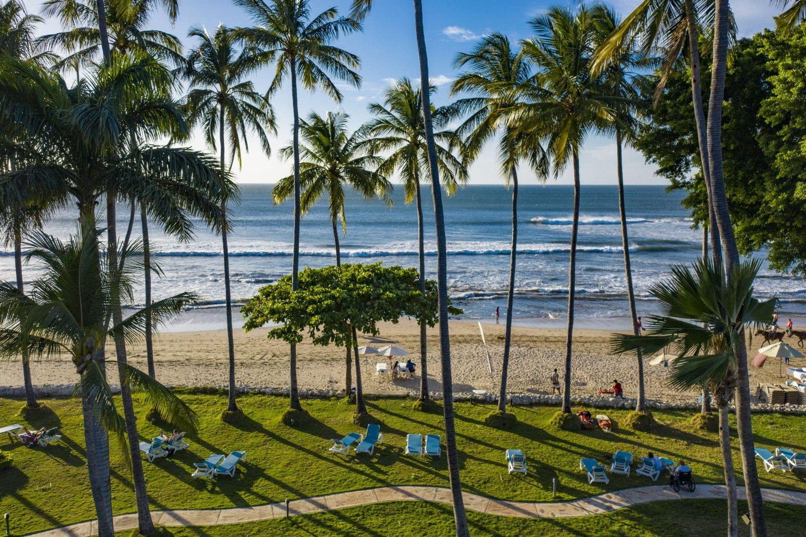 Palm trees and a wide sandy beach on Costa Rica's Pacific coast, with surf rolling in under a clear sky.