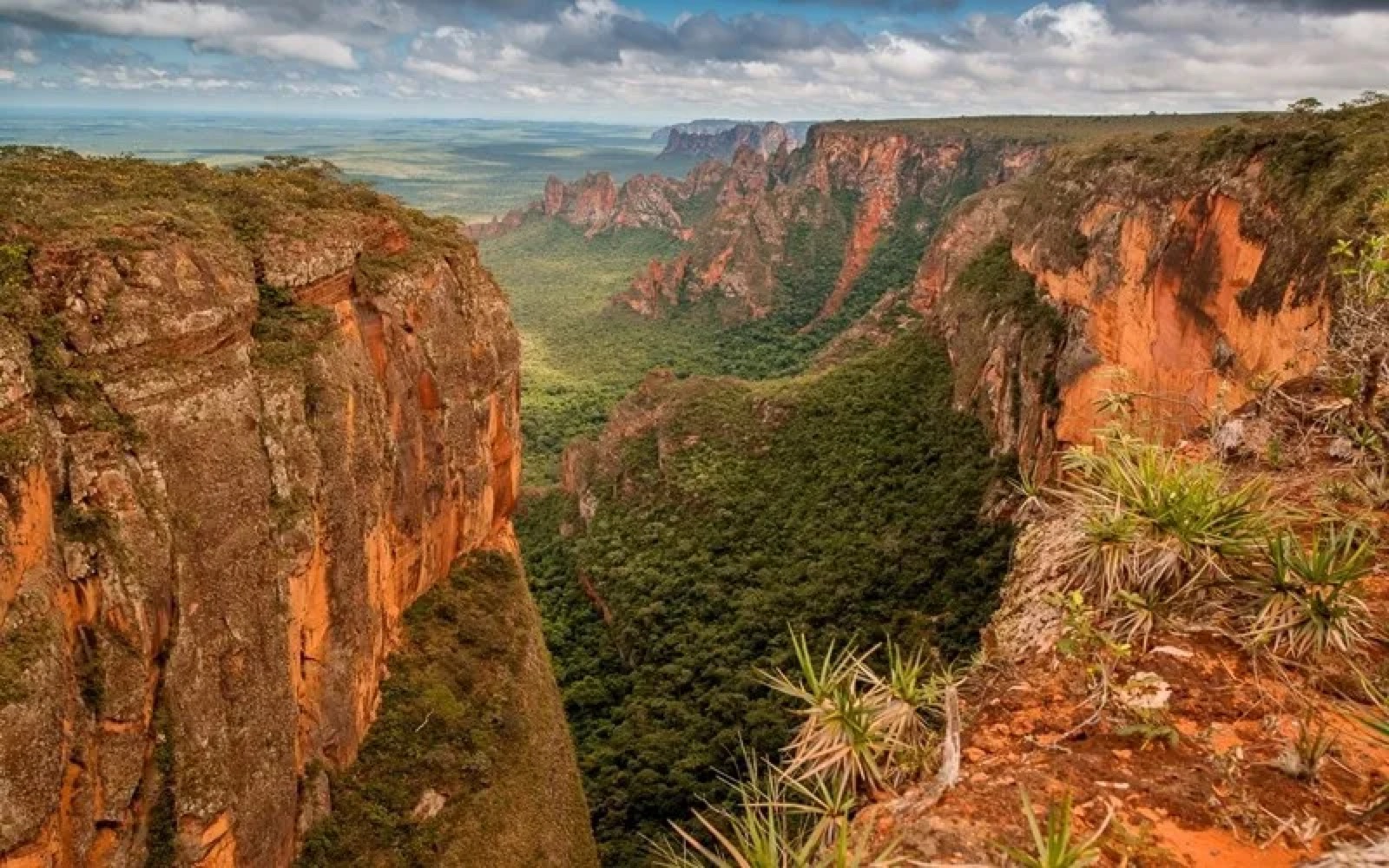 Red sandstone canyon and forest in Chapada dos Guimaraes