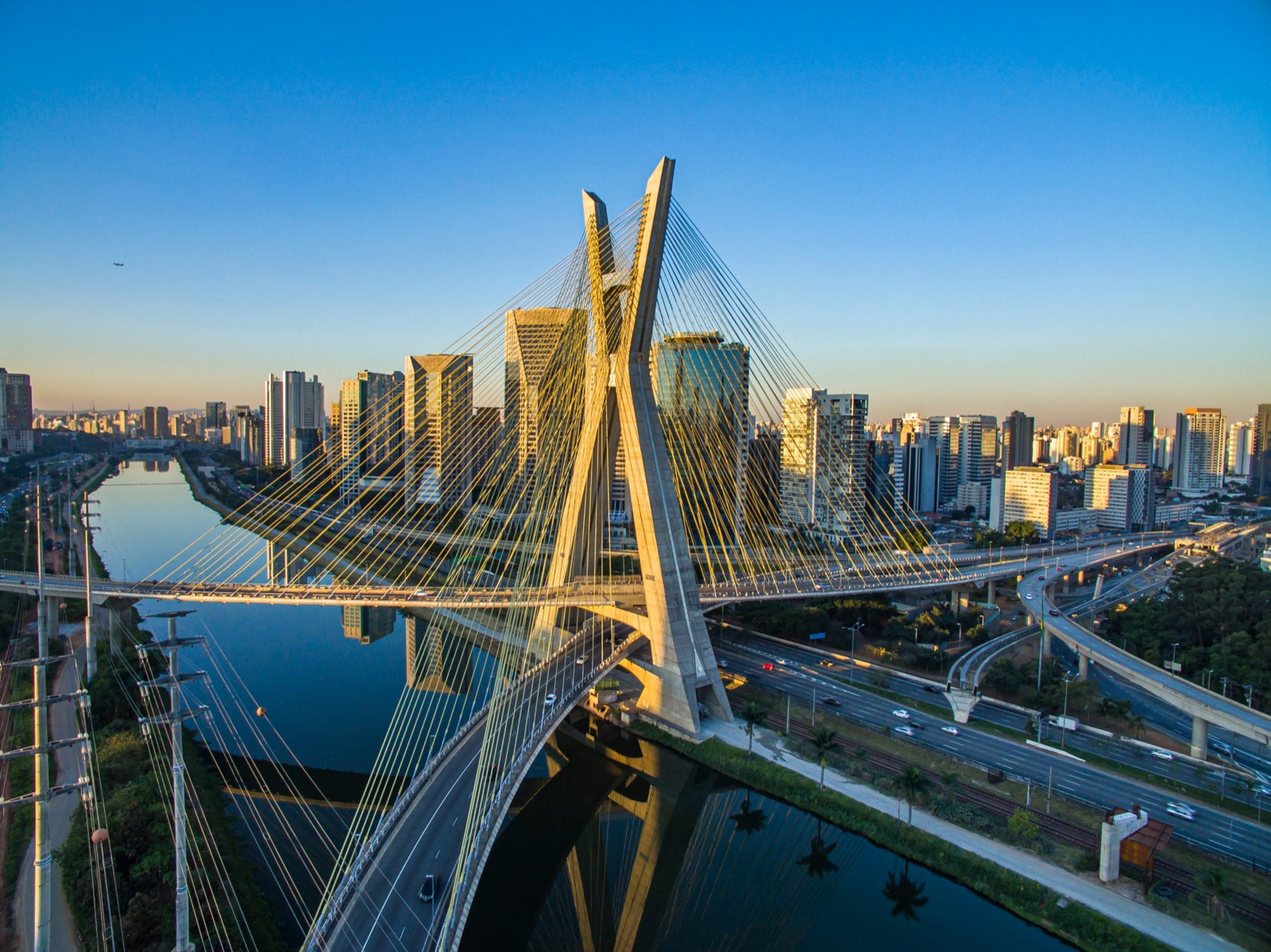 Octavio Frias de Oliveira Bridge and Sao Paulo skyline