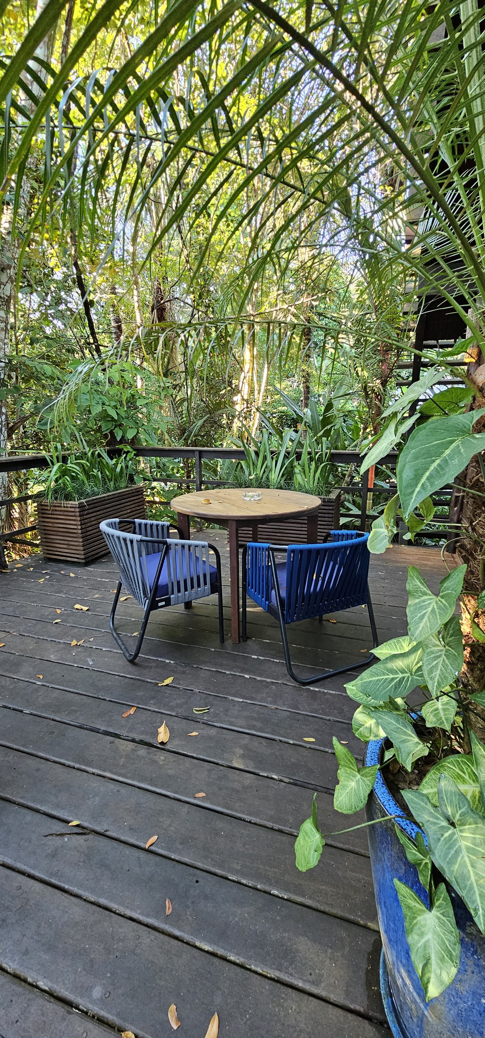 A quiet jungle lodge deck with seating, surrounded by rainforest plants, at an Amazon-region property.
