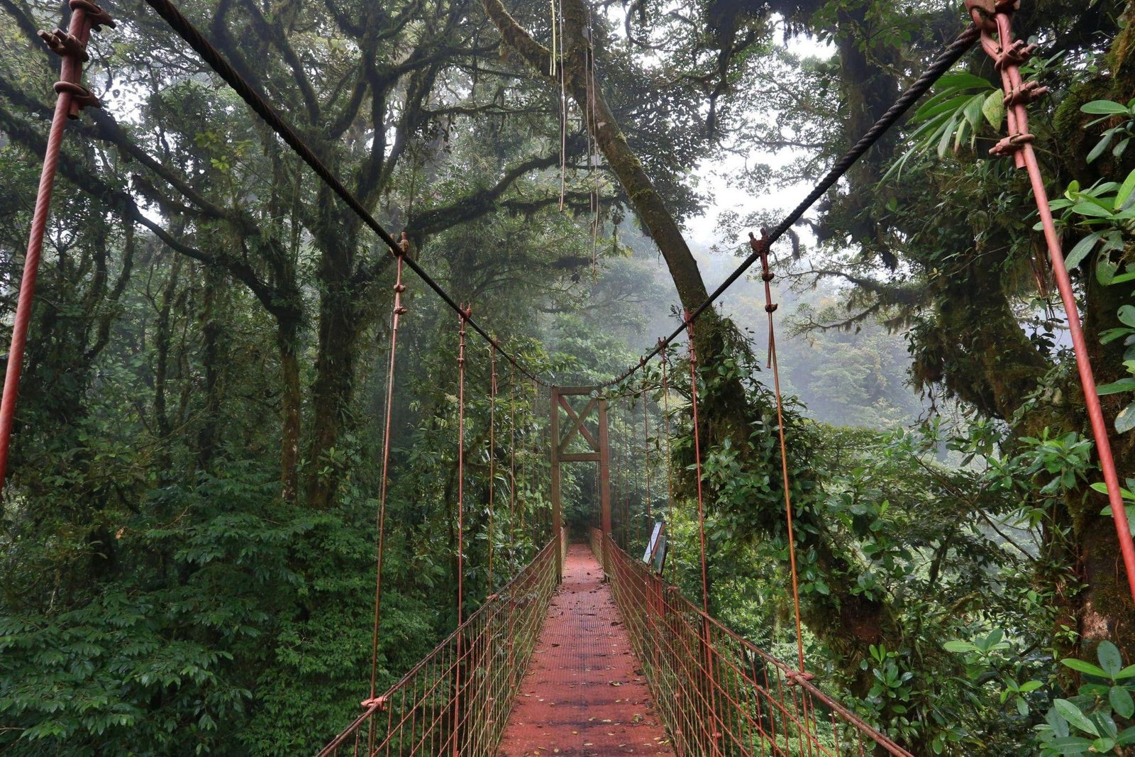 A red suspension bridge crossing misty cloud forest canopy in Costa Rica.