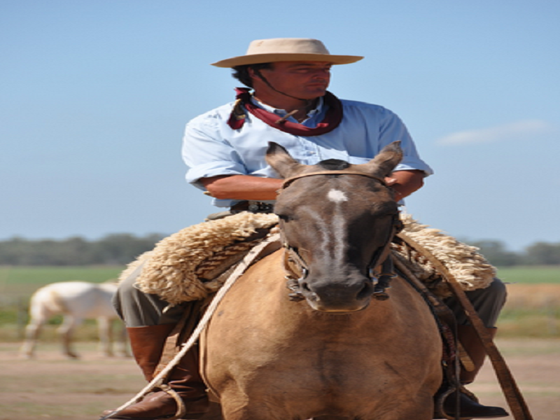 Day Ranch and Fiesta Gaucha in Santa Susana Ranch. -3