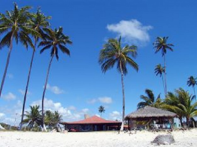 Day 1: Airport Santo Domingo - Santo Domingo City -0